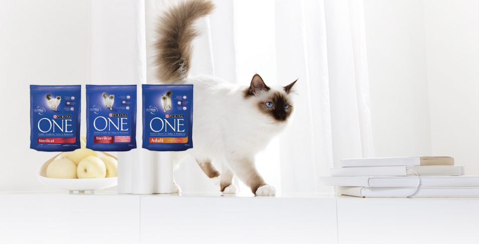 .kampanjbild_stor_purinaonecats_2.jpg
