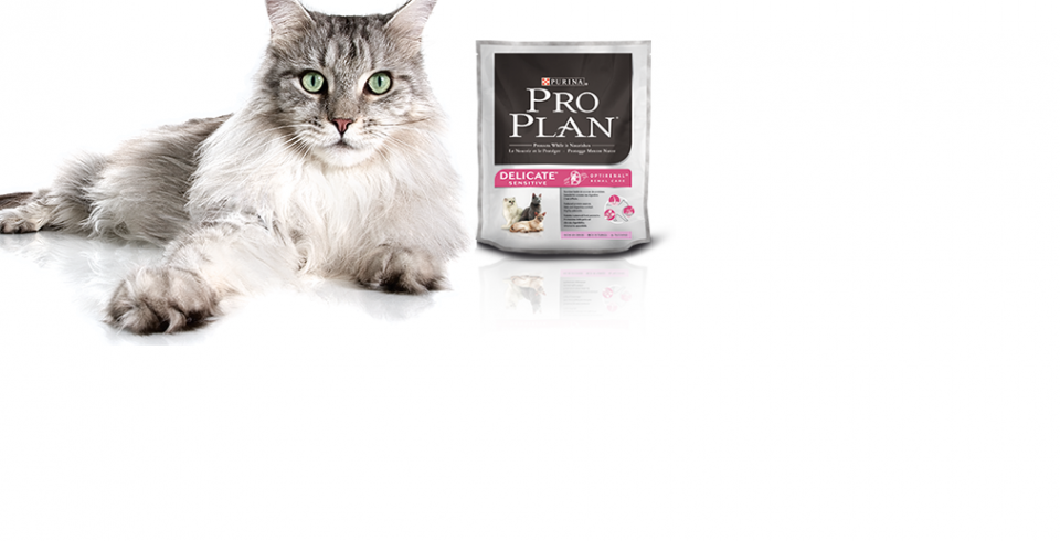 .purina_big2.png